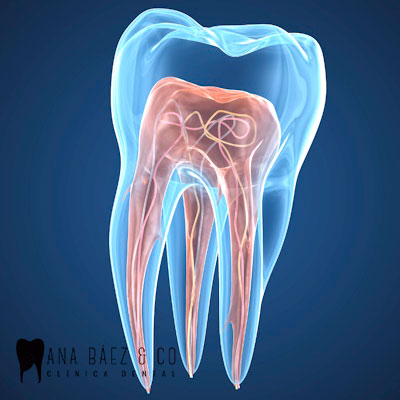blanquemiento dental ana baez